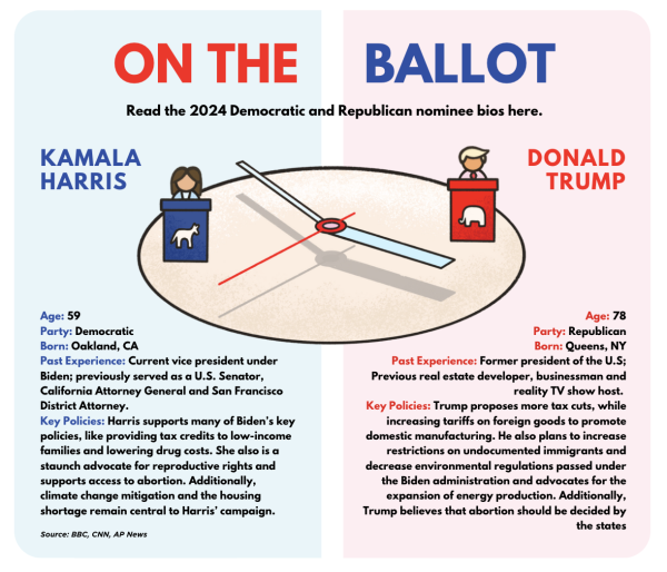 2024 Election Countdown: Key Battleground States and the Issues Driving Voters